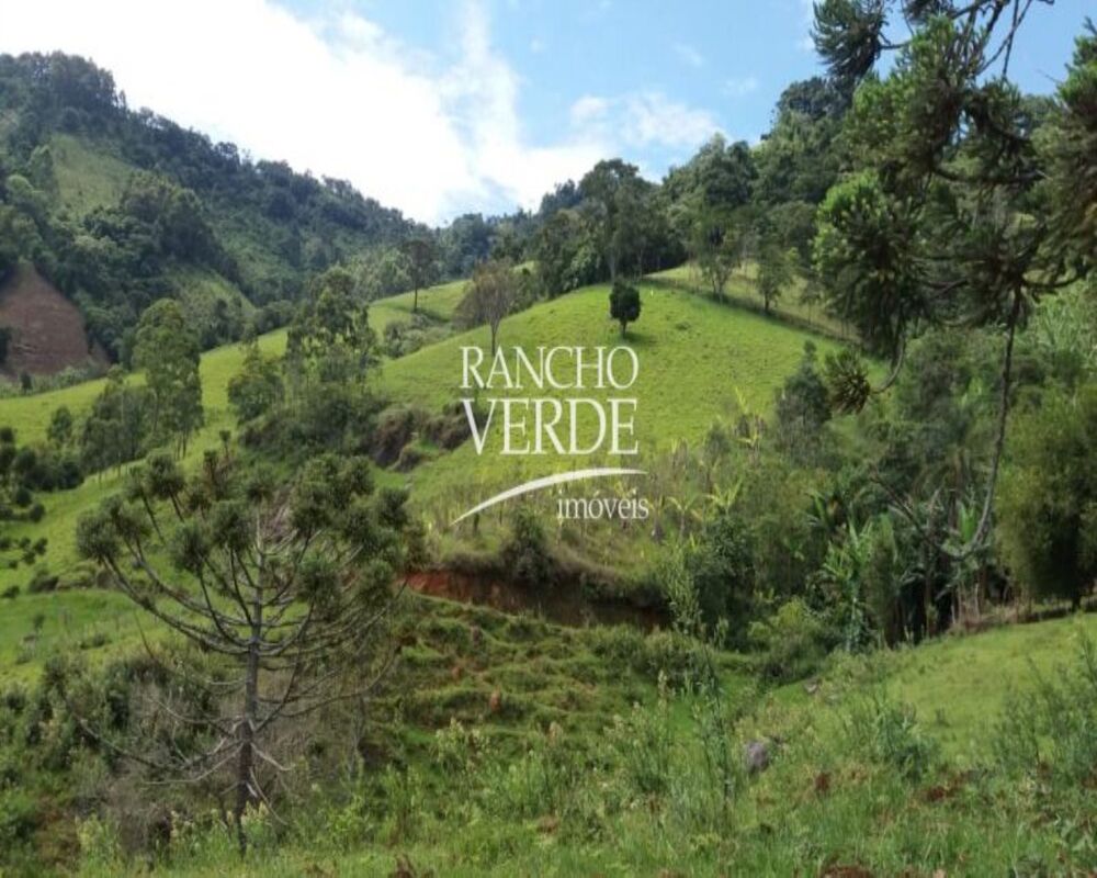 Fazenda-Sítio-Chácara, 2 hectares - Foto 9