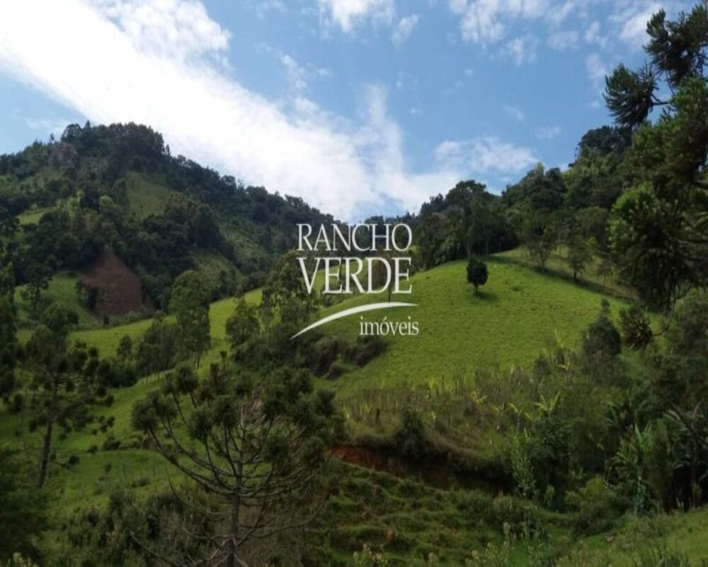 Fazenda-Sítio-Chácara, 2 hectares - Foto 10