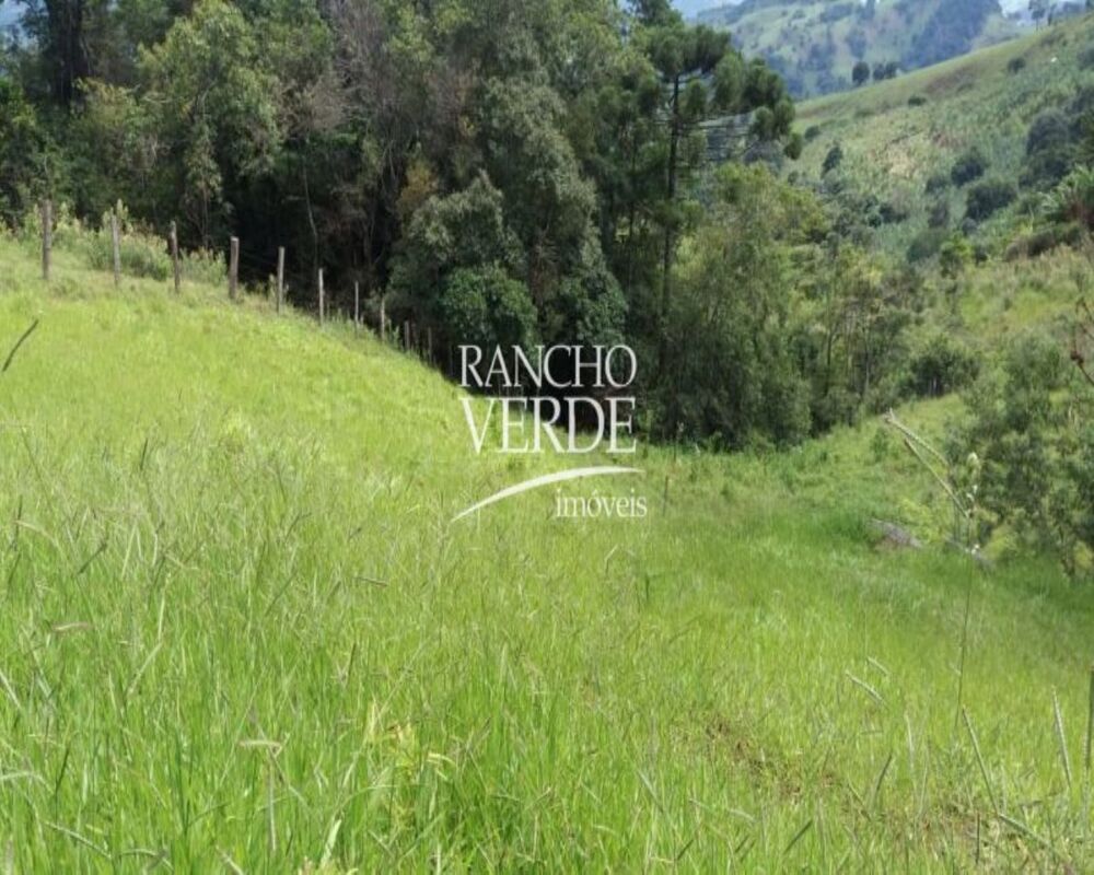 Fazenda-Sítio-Chácara, 2 hectares - Foto 11