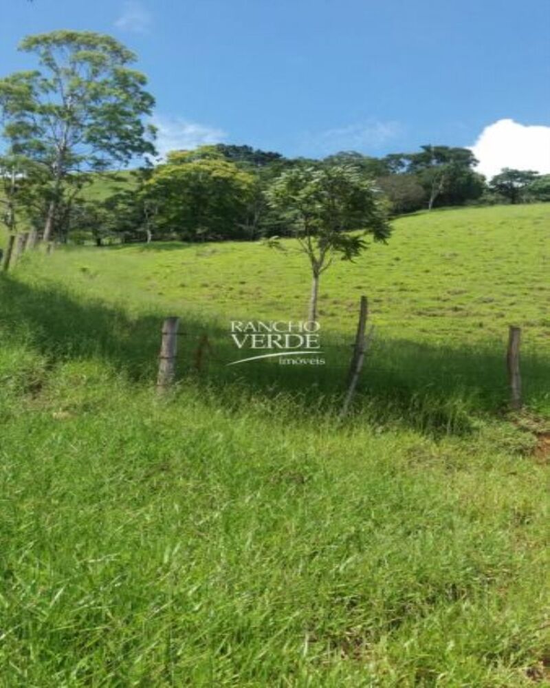Fazenda-Sítio-Chácara, 2 hectares - Foto 14