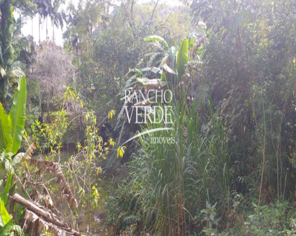 Sítio, 4 quartos, 22 hectares - Foto 6