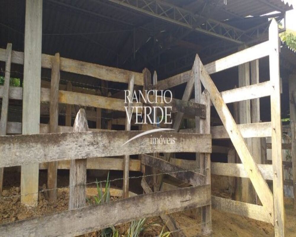 Sítio, 4 quartos, 22 hectares - Foto 16