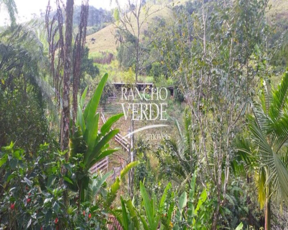 Sítio, 4 quartos, 22 hectares - Foto 27