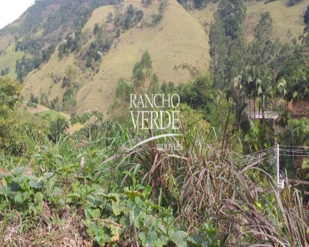 Sítio, 4 quartos, 22 hectares - Foto 9