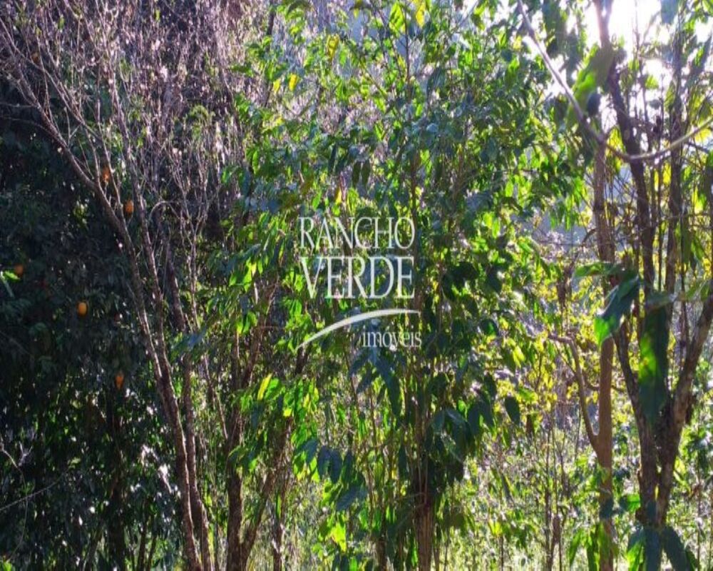 Sítio, 4 quartos, 22 hectares - Foto 3