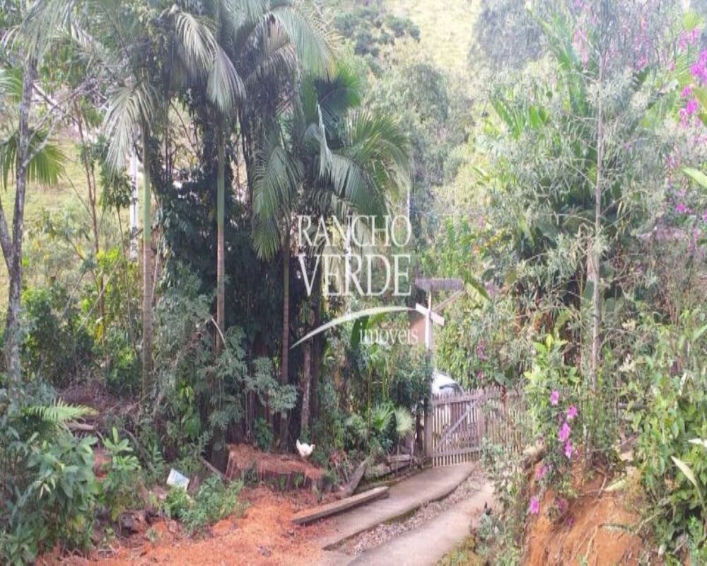 Sítio, 4 quartos, 22 hectares - Foto 15