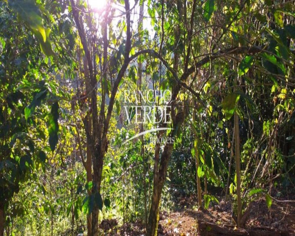 Sítio, 4 quartos, 22 hectares - Foto 7