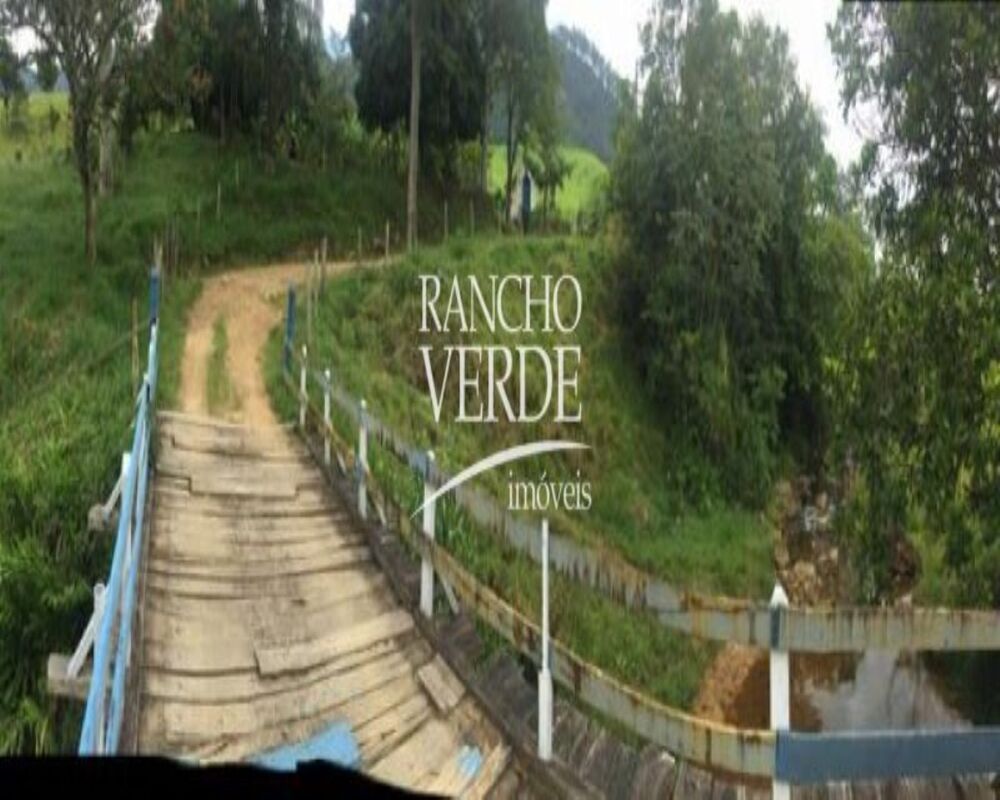 Fazenda, 387 hectares - Foto 7