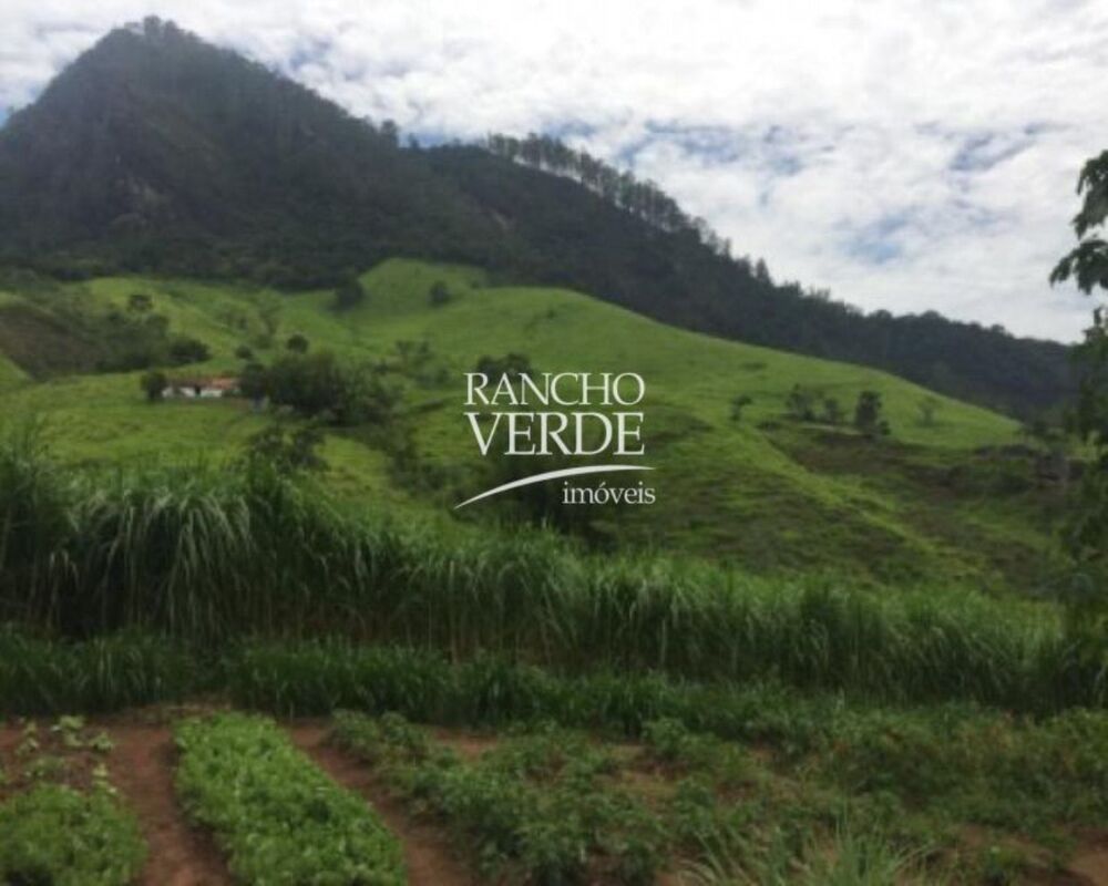 Fazenda, 387 hectares - Foto 9