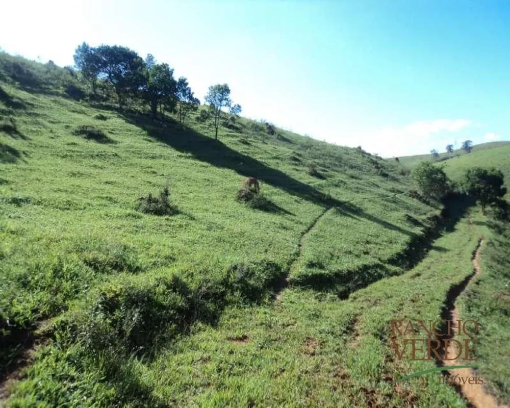 Fazenda à venda com 3 quartos, 641300m² - Foto 12