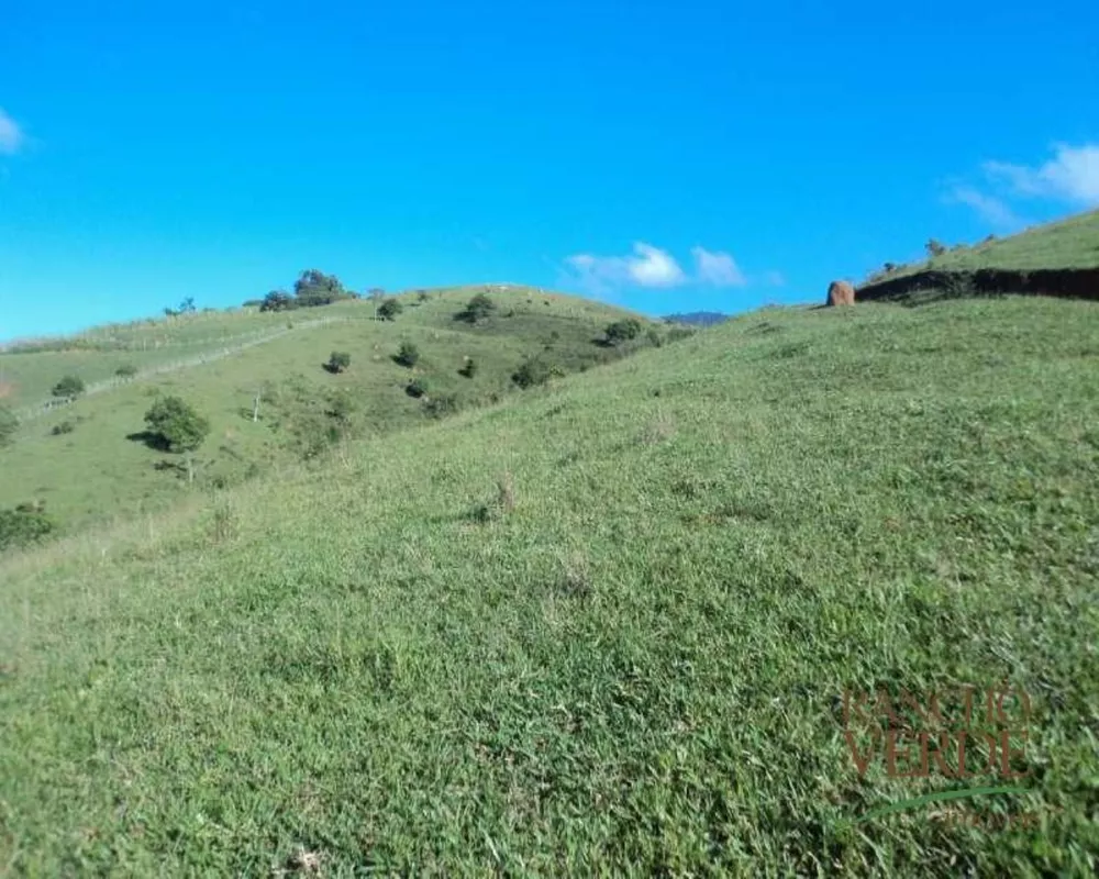 Fazenda à venda com 3 quartos, 641300m² - Foto 11