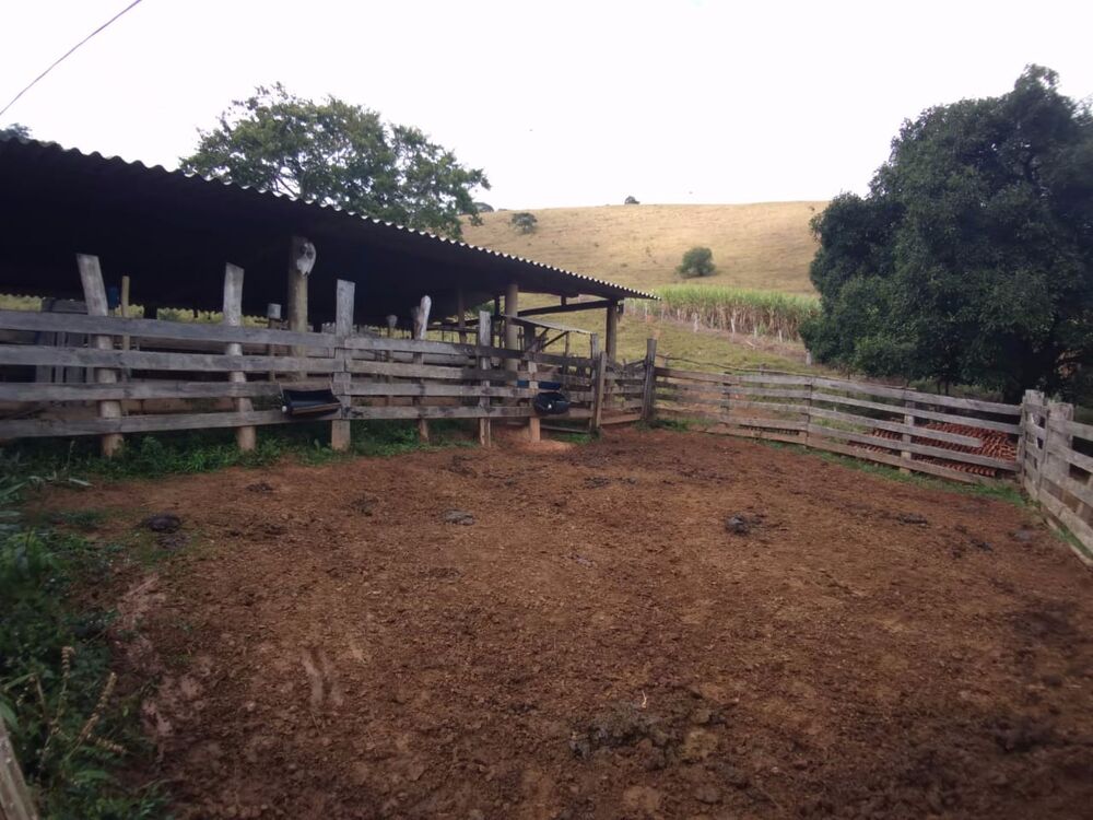 Sítio, 2 quartos, 23 m² - Foto 6