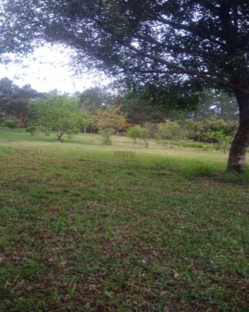 Haras e Área Rural Padrão à venda, 2792m² - Foto 4