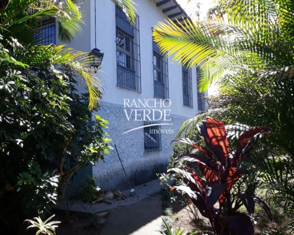 Fazenda, 242 hectares - Foto 3