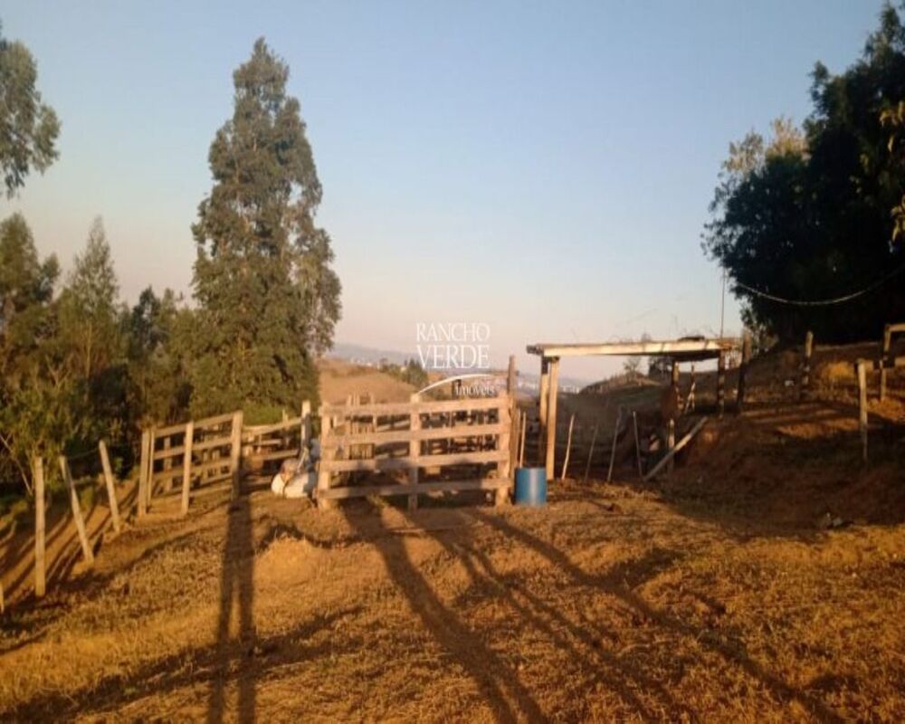 Haras e Área Rural Padrão à venda, 1000m² - Foto 5