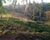 Fazenda, 1000 m² - Foto 4