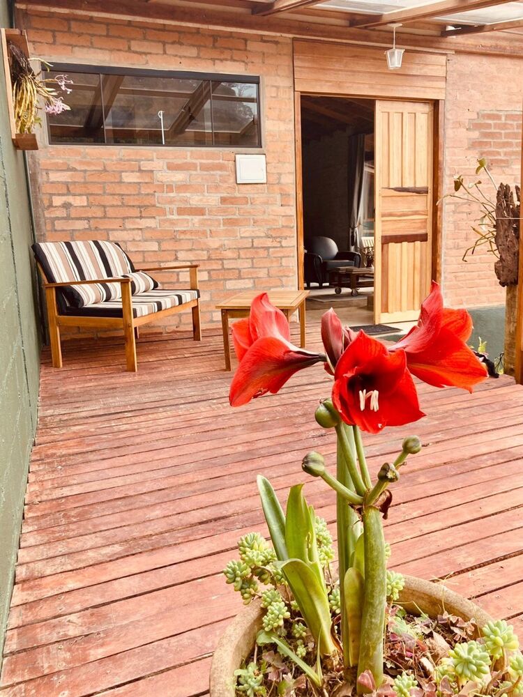 Chácara, 2 quartos, 9600 m² - Foto 9