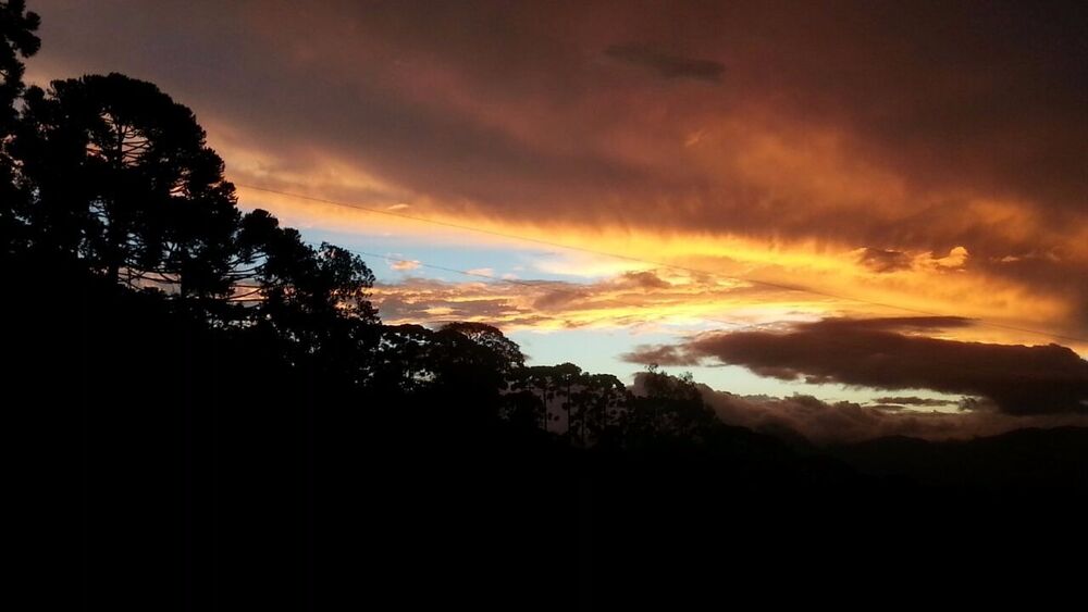 Chácara, 2 quartos, 9600 m² - Foto 5