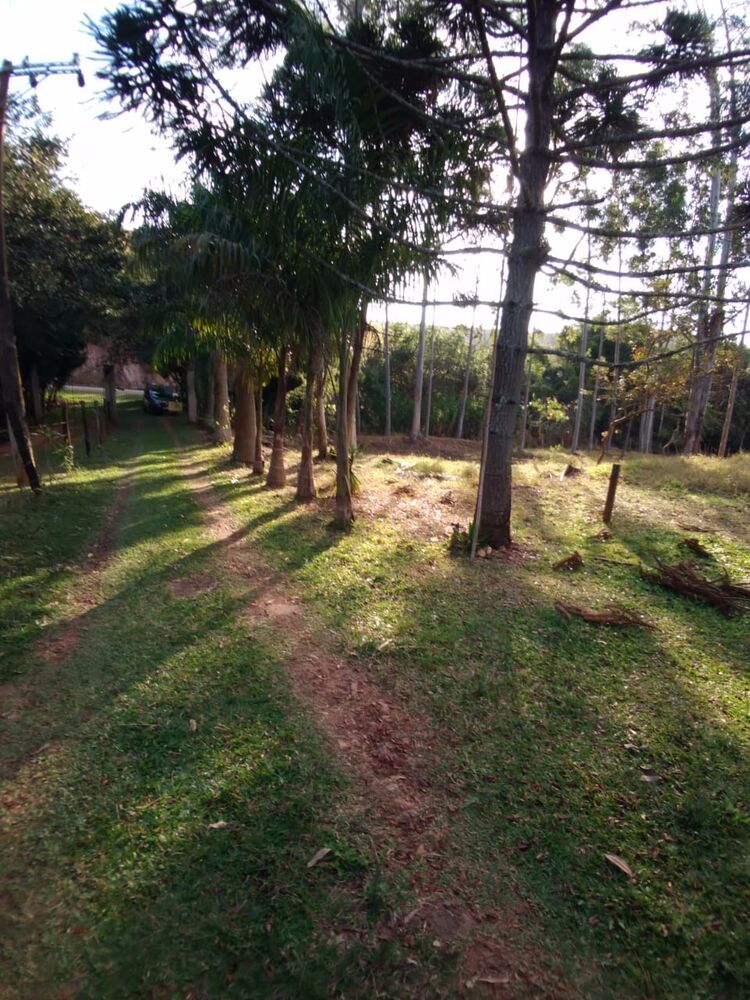 Sítio, 3 quartos, 4 hectares - Foto 2