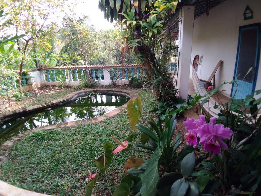 Sítio, 3 quartos, 4 hectares - Foto 4