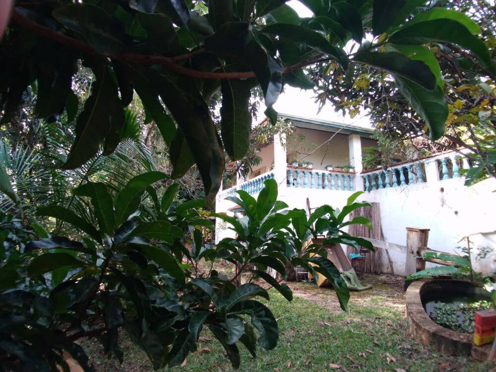 Sítio, 3 quartos, 4 hectares - Foto 9