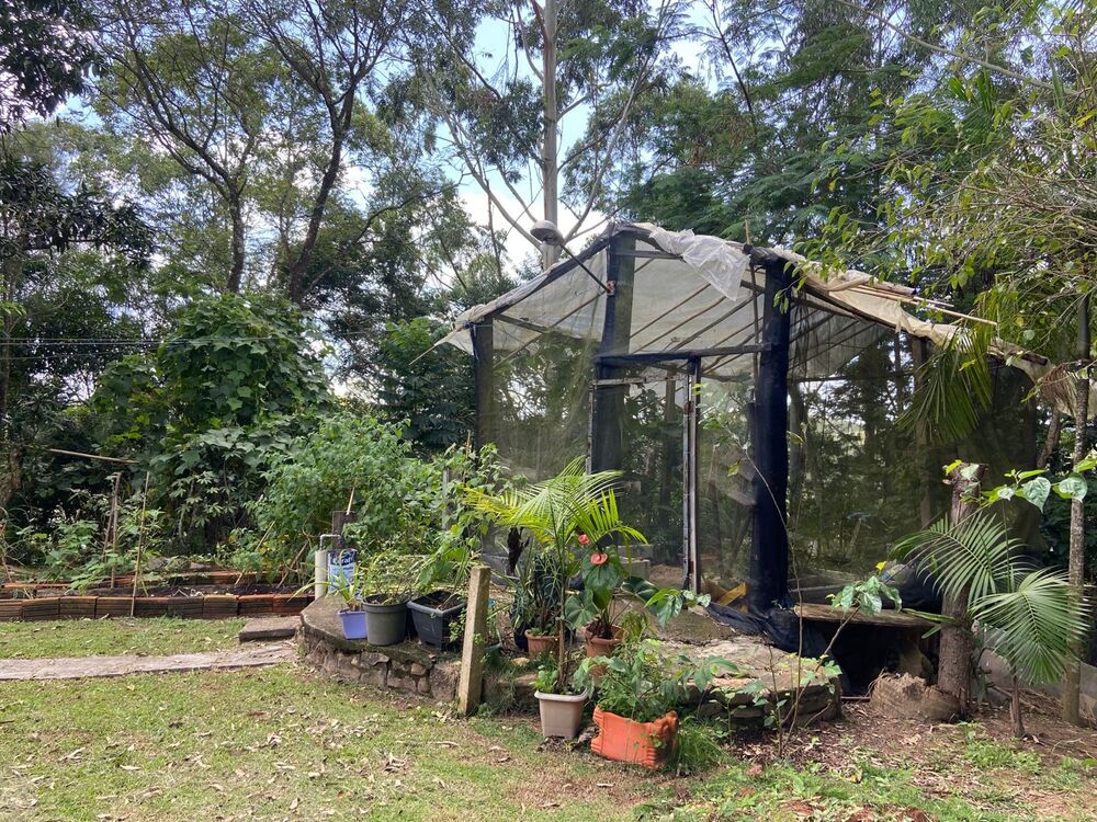 Chácara, 3 quartos, 3260 m² - Foto 3