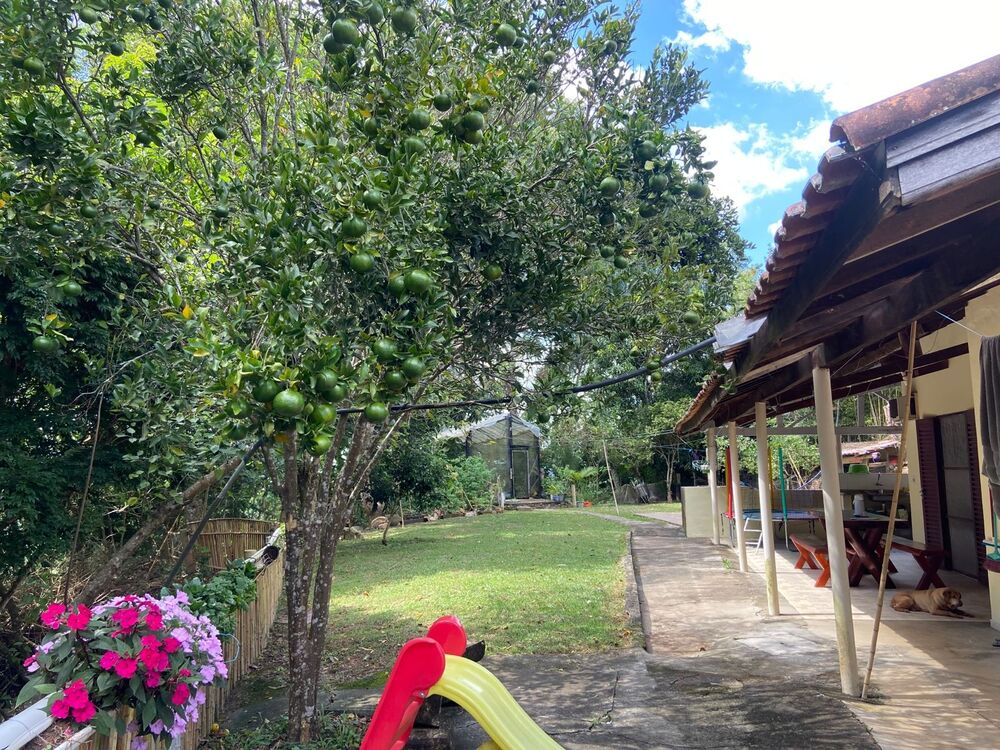 Chácara, 3 quartos, 3260 m² - Foto 4