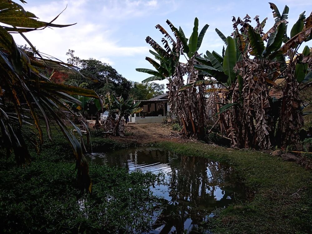 Sítio, 2 quartos, 8 m² - Foto 36