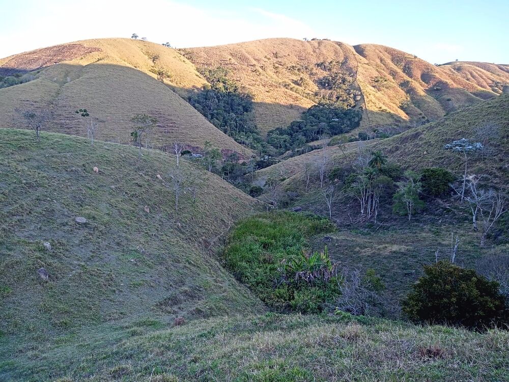 Sítio, 2 quartos, 8 m² - Foto 4