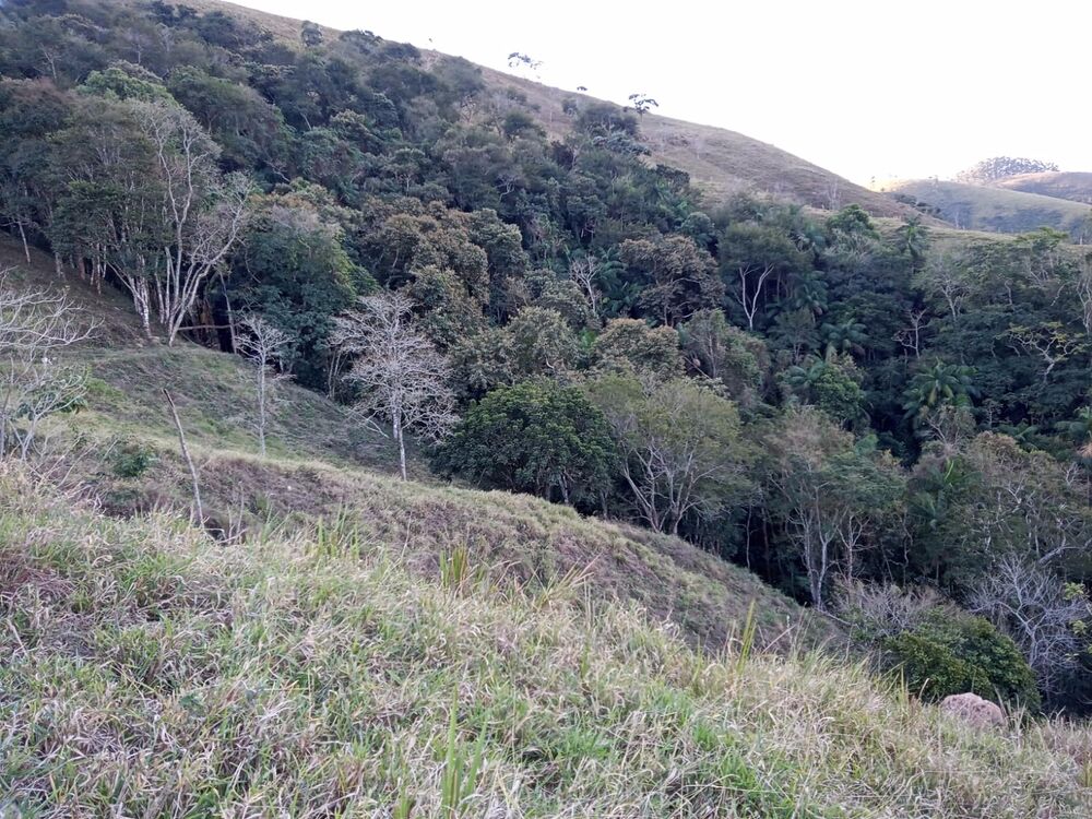 Sítio, 2 quartos, 8 m² - Foto 7