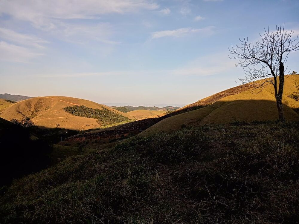 Sítio, 2 quartos, 8 m² - Foto 14