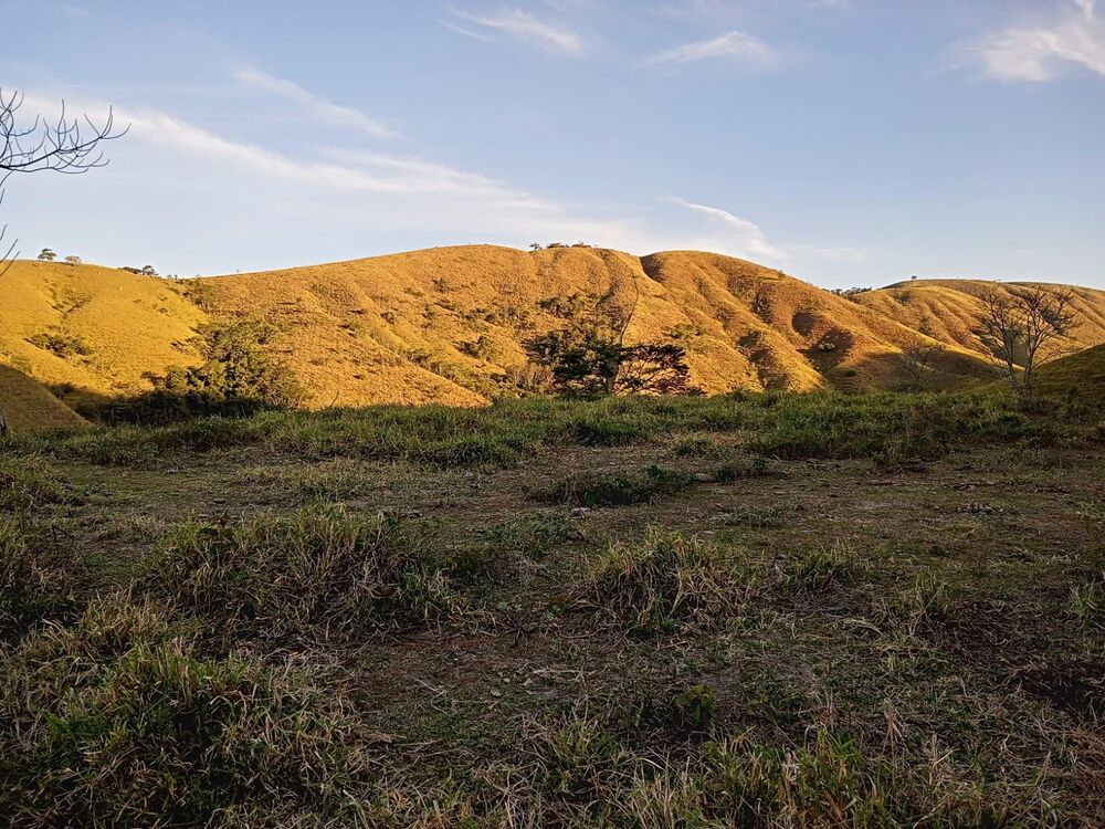 Sítio, 2 quartos, 8 m² - Foto 8