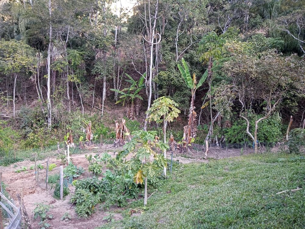 Sítio, 2 quartos, 8 m² - Foto 29