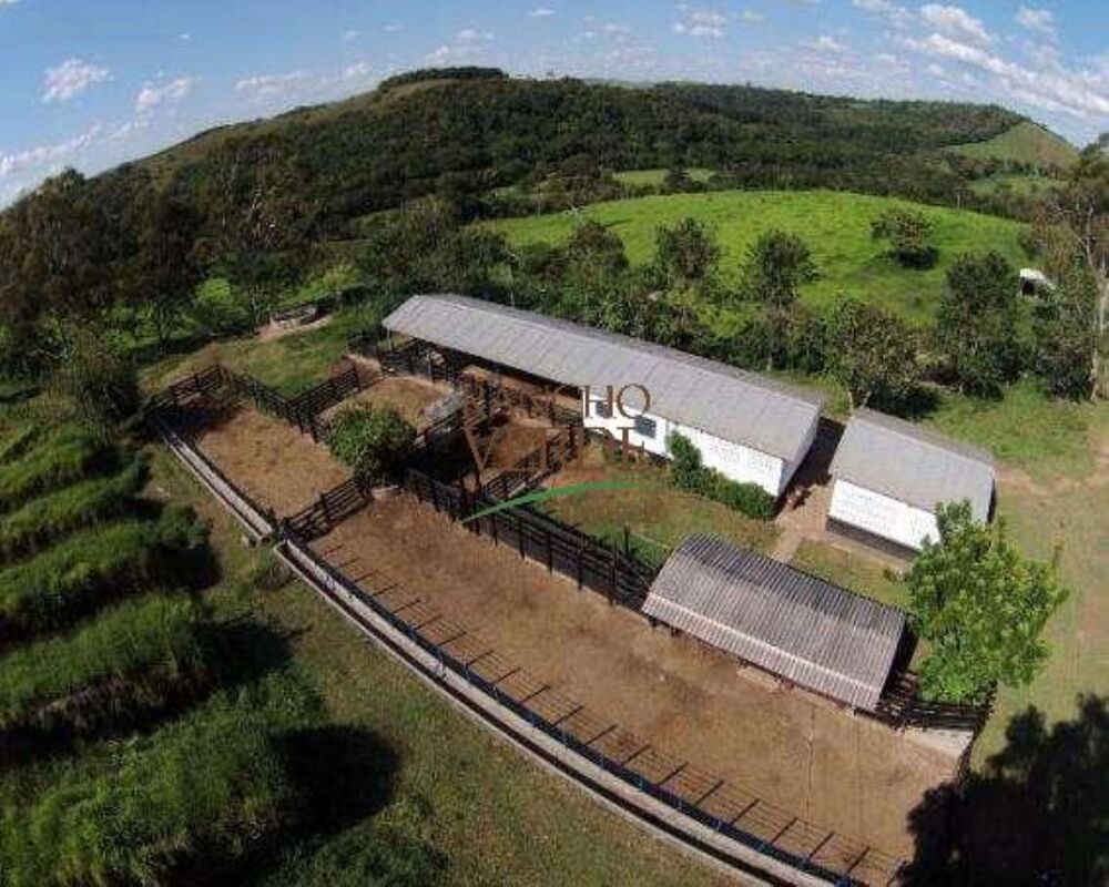 Fazenda, 319 hectares - Foto 3