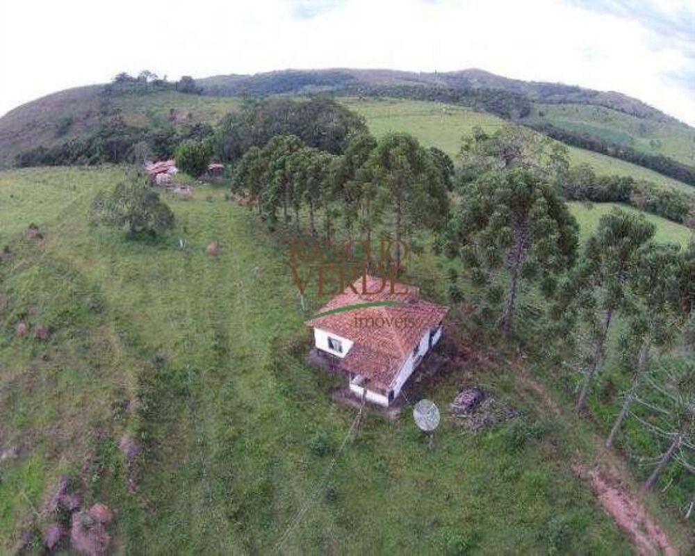 Fazenda, 319 hectares - Foto 4