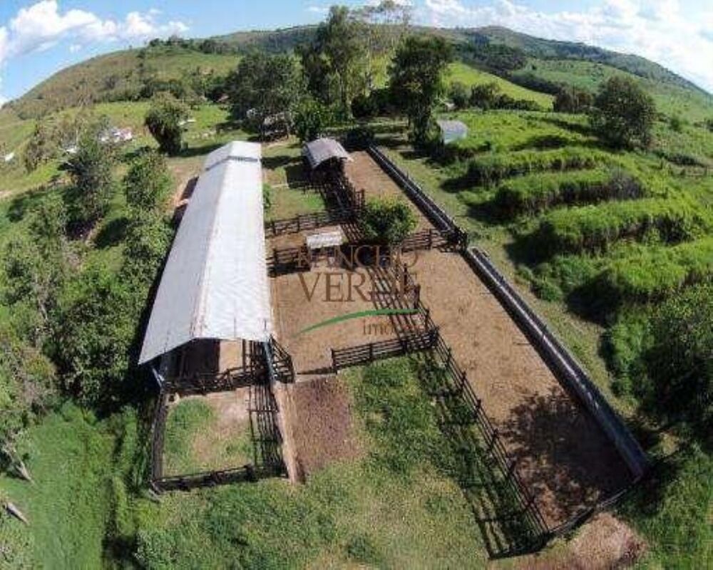 Fazenda, 319 hectares - Foto 2