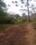 Fazenda-Sítio-Chácara, 97 hectares - Foto 2