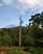 Fazenda-Sítio-Chácara, 97 hectares - Foto 1