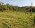 Fazenda, 164 hectares - Foto 1
