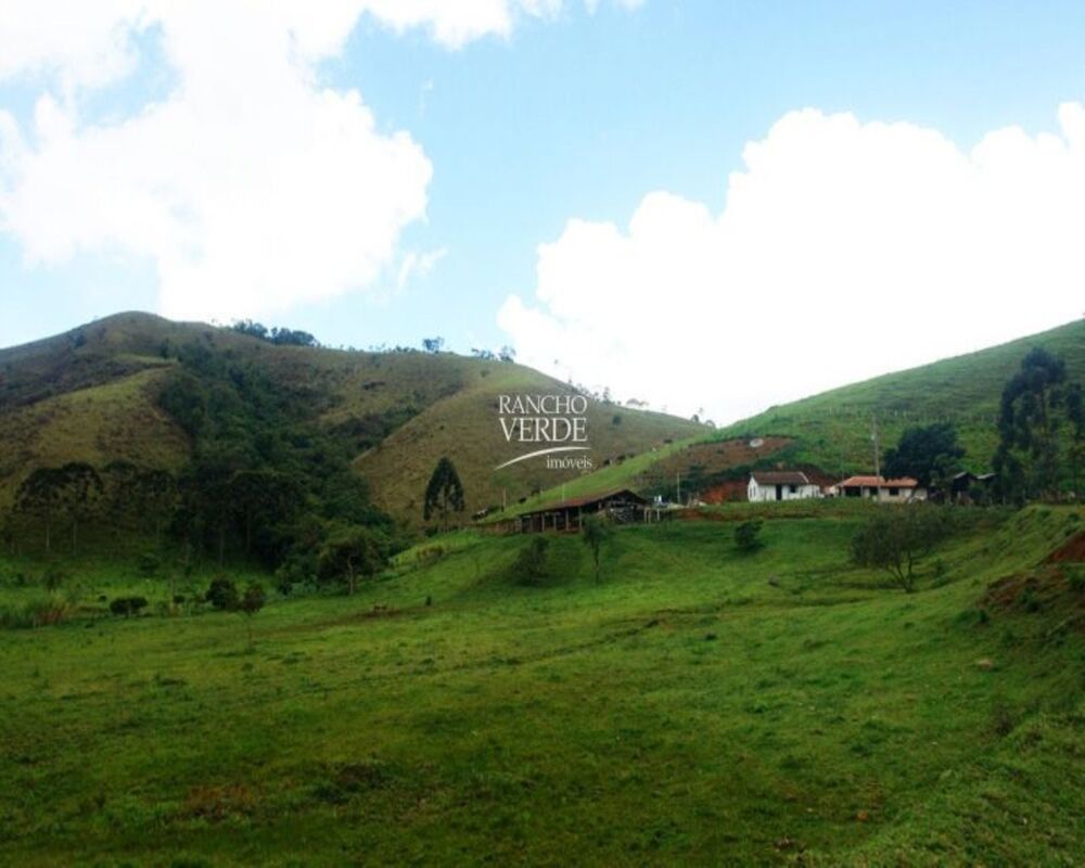 Sítio, 85 hectares - Foto 9