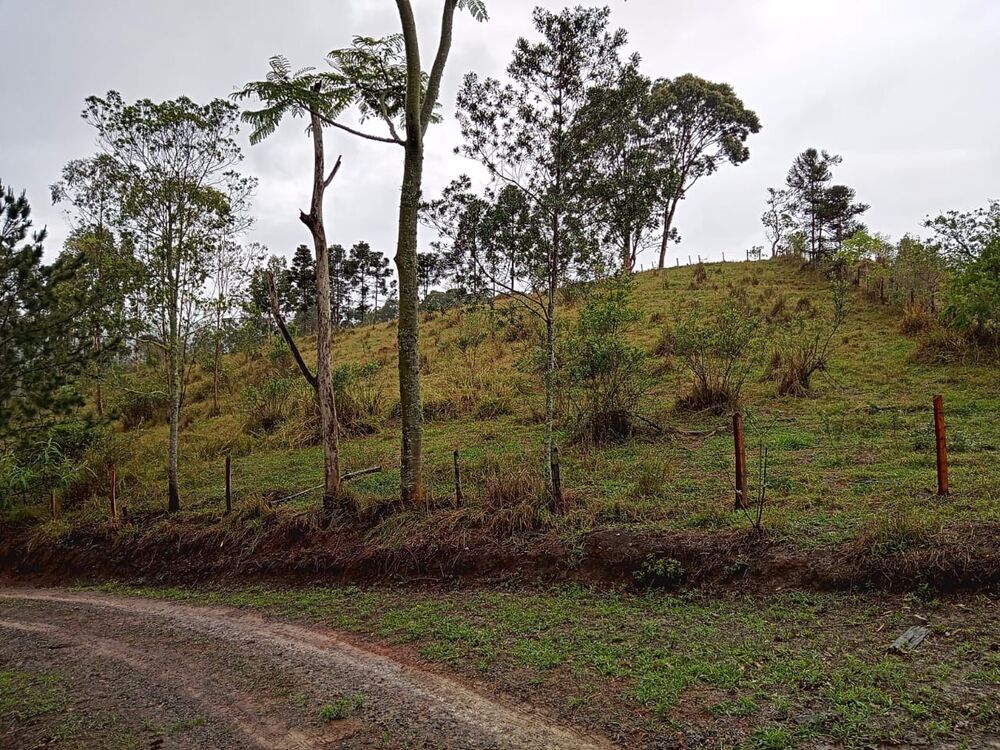Fazenda, 7 hectares - Foto 1