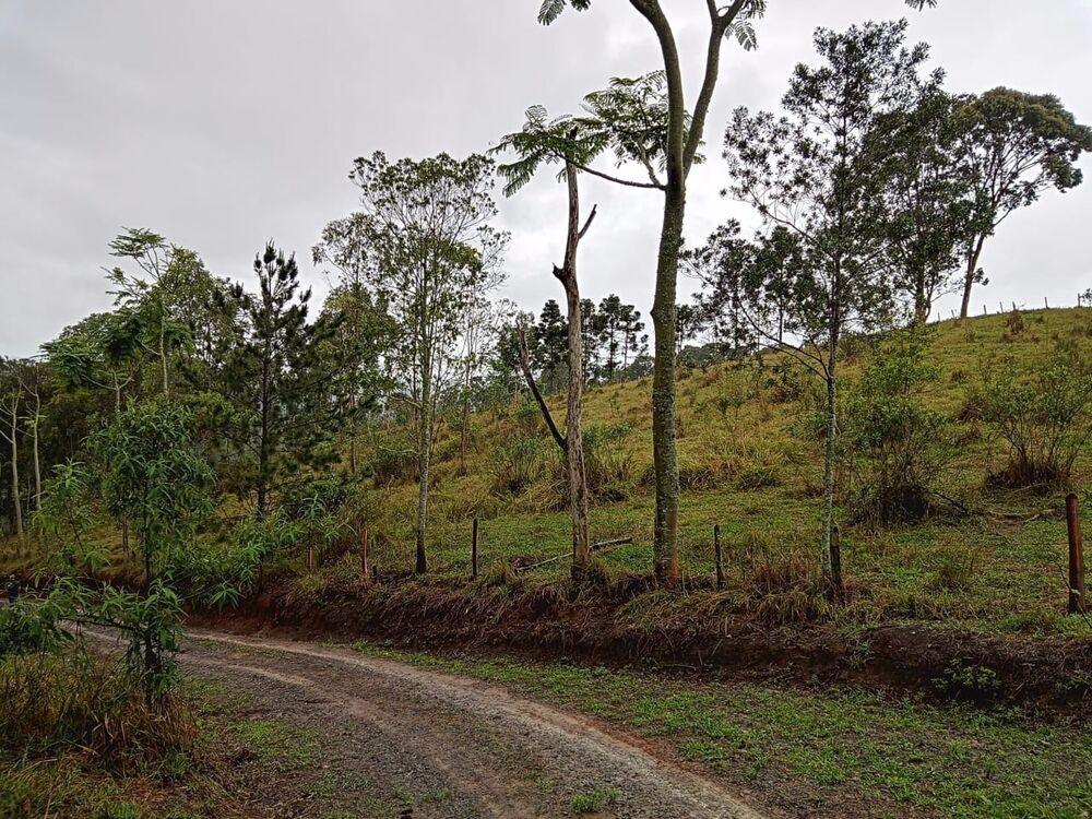 Fazenda, 7 hectares - Foto 2