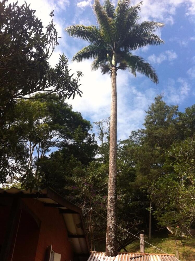 Fazenda, 17 m² - Foto 53