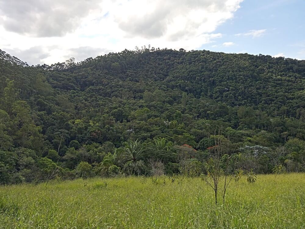 Fazenda, 17 m² - Foto 17