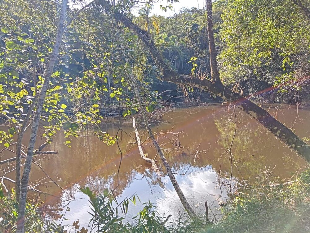 Fazenda, 17 m² - Foto 6