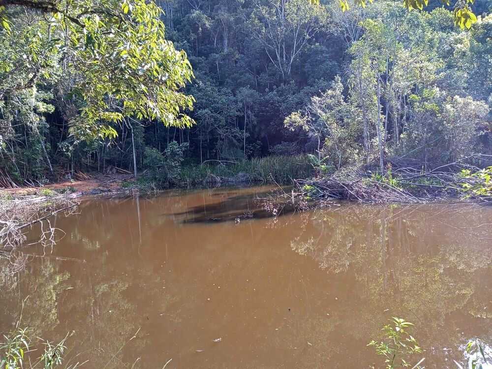 Fazenda, 17 m² - Foto 3