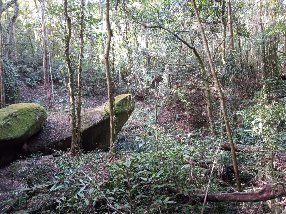 Fazenda, 17 m² - Foto 8