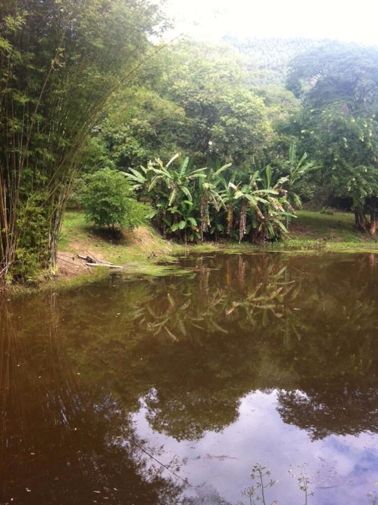 Fazenda, 17 m² - Foto 56