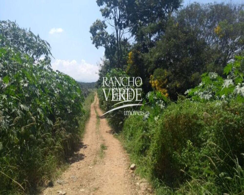 Haras e Área Rural Padrão à venda, 450000m² - Foto 4