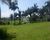 Fazenda, 45 hectares - Foto 3